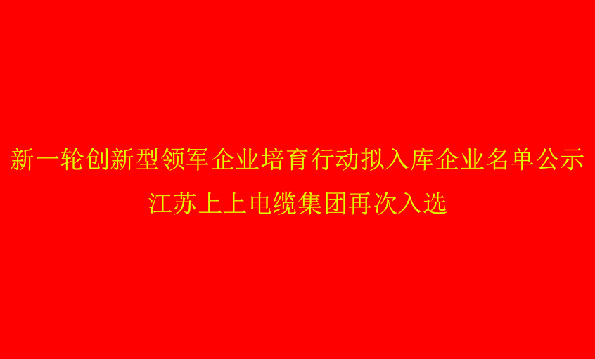 凯发k8国际电缆再次入选省立异型领军企业培育名单